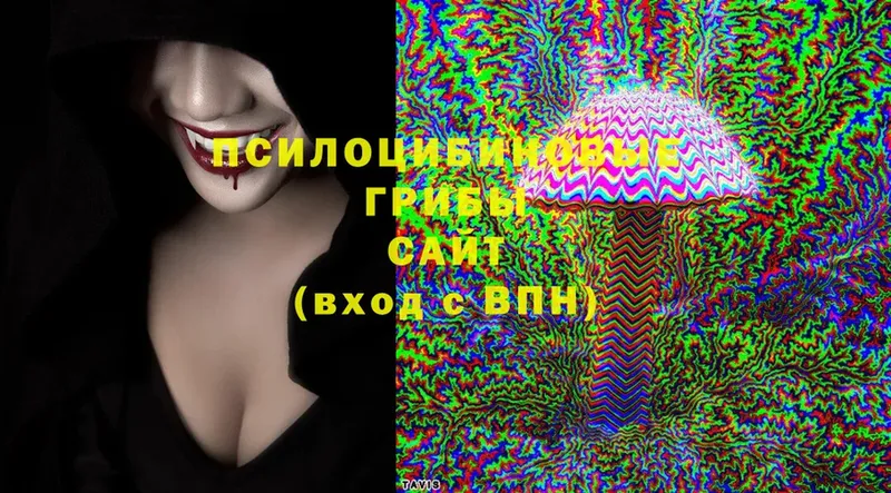 Галлюциногенные грибы Psilocybine cubensis  купить наркотик  Руза 